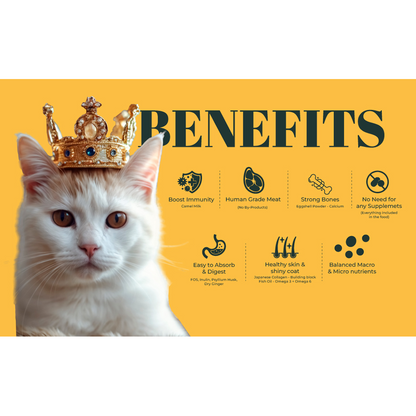 IndieCat Royal Trial Pack Adult Cat Wet Food
