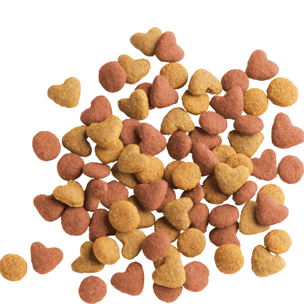 Versele Laga Lara Chicken Kitten Dry Food (Limited Shelf Life)