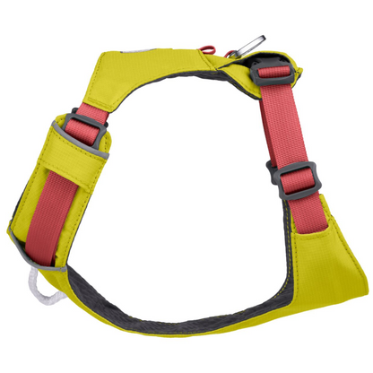 Ruffwear Hi & Light Harness for Dogs (Lichen Green)