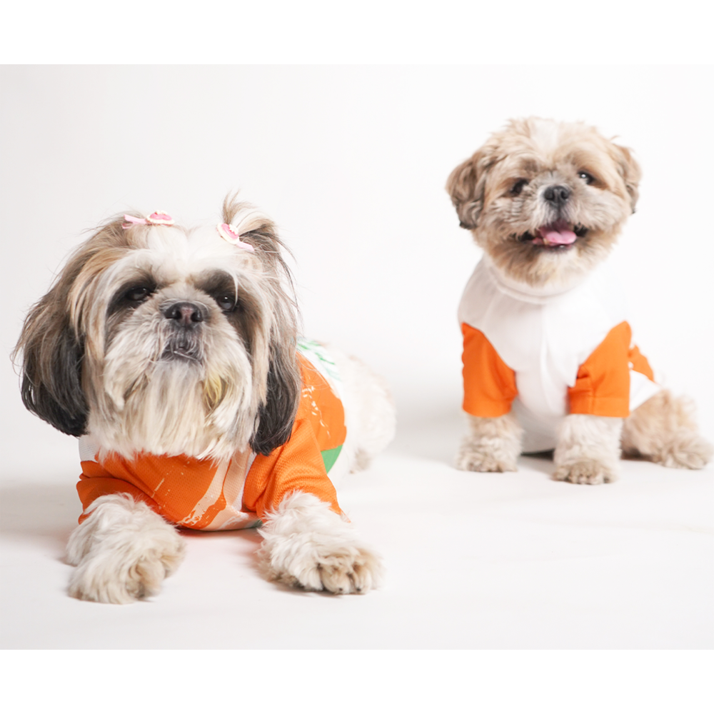 Pets Way Bharat Pride Tshirt for Dogs