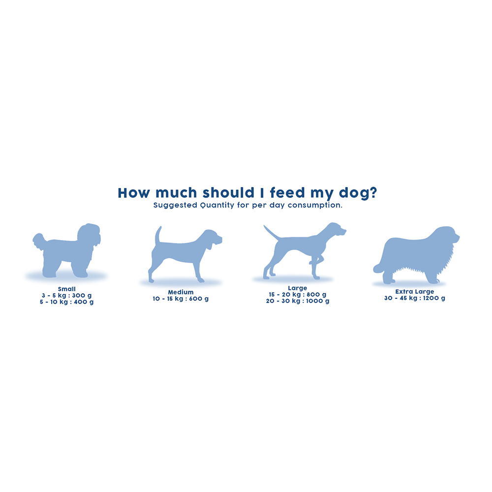 Benny's Bowl Clinical Nutrition for Gastrointestinal Issues Dog Wet Food