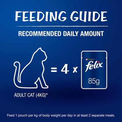 Friskies Seafood Cat Dry Food and Purina Felix Sardine with Jelly Adult Cat Wet Food Combo