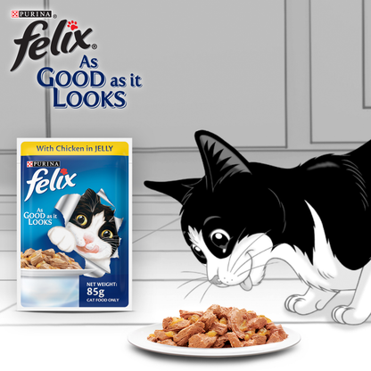 Friskies Surfin Cat Dry Food and Purina Felix Chicken with Jelly Adult Cat Wet Food Combo