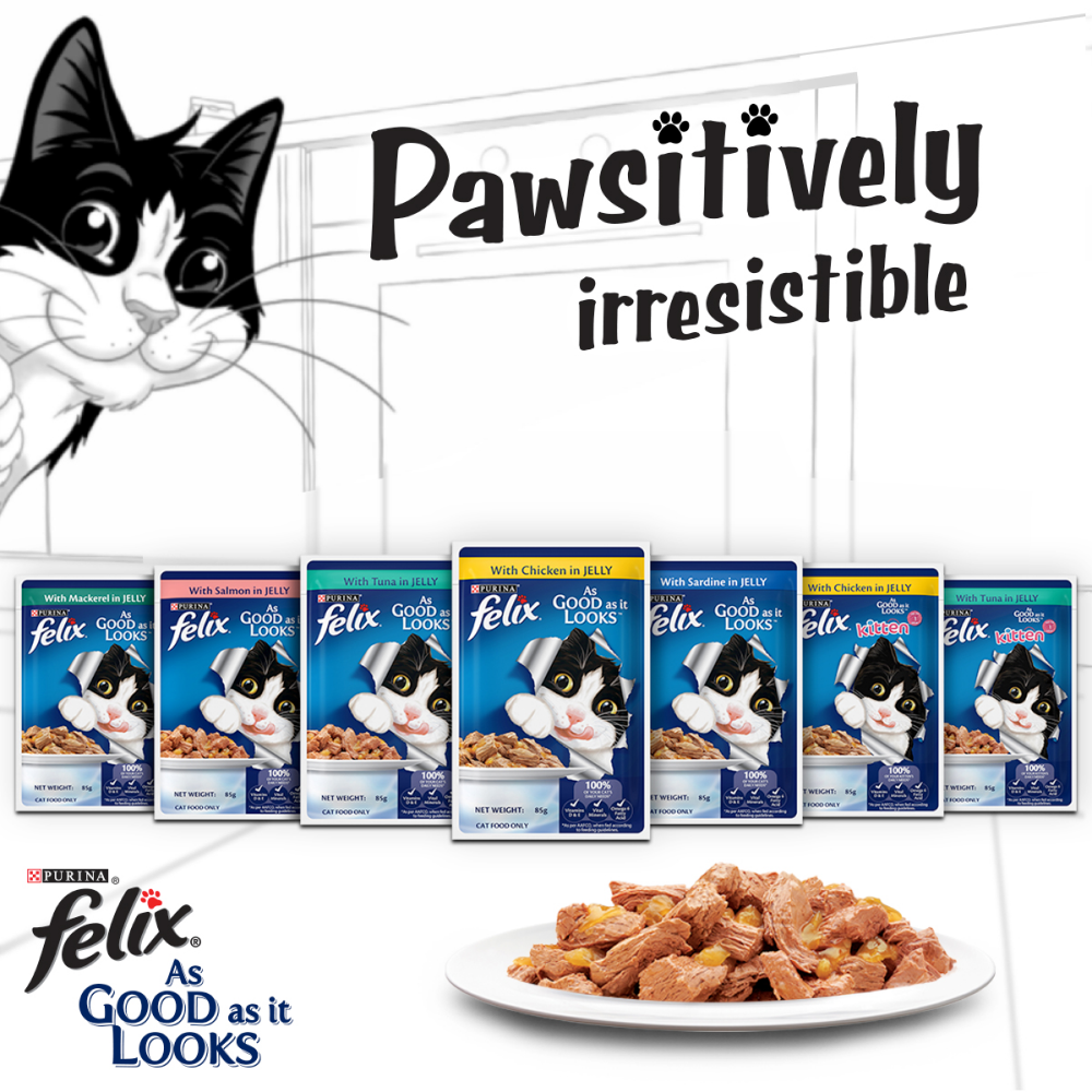 Friskies Surfin Cat Dry Food and Purina Felix Chicken with Jelly Adult Cat Wet Food Combo