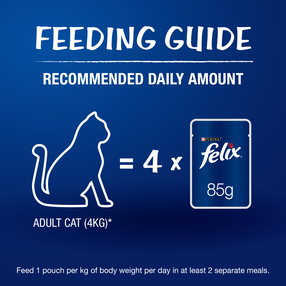 Friskies Seafood Cat Dry Food and Purina Felix Salmon with Jelly Adult Cat Wet Food Combo