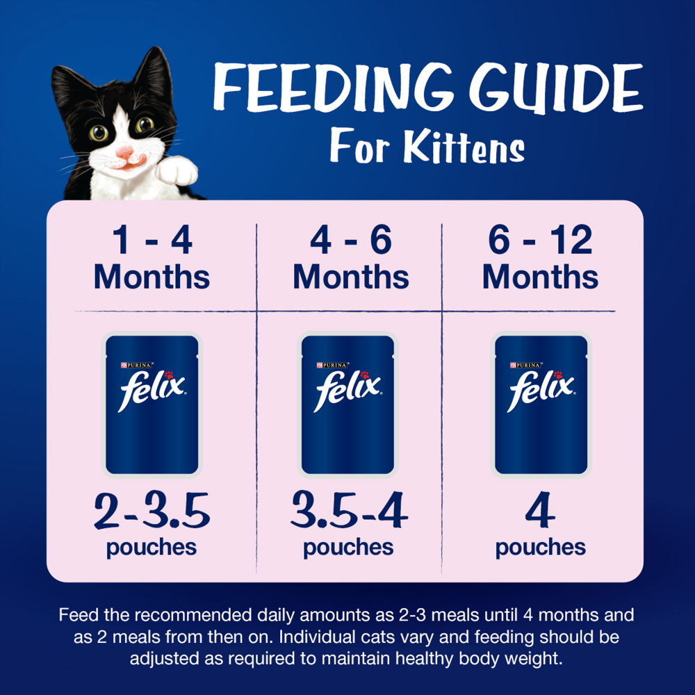 Friskies Kitten Cat Dry Food and Purina Felix Chicken with Jelly Kitten Cat Wet Food Combo