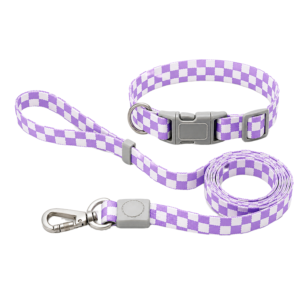 Talking Dog Club Checkmate Leash and Collar Combo (Purple)
