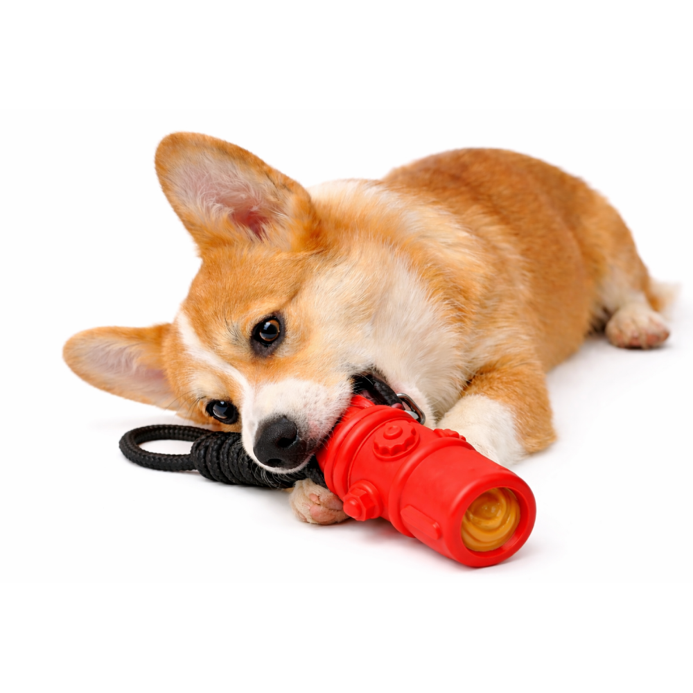 Talking Dog Club Sturdy Fire Hydrant Rubber & Rope Toy for Dogs (Red)