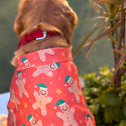 15 Furries Gingerbread Man Tshirt for Dogs