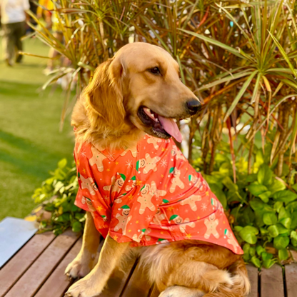 15 Furries Gingerbread Man Tshirt for Dogs