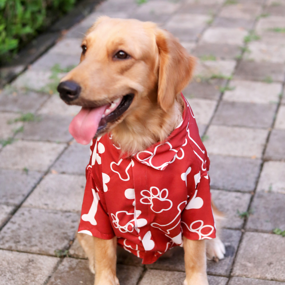 15 Furries Paws-itive Shirt for Dogs