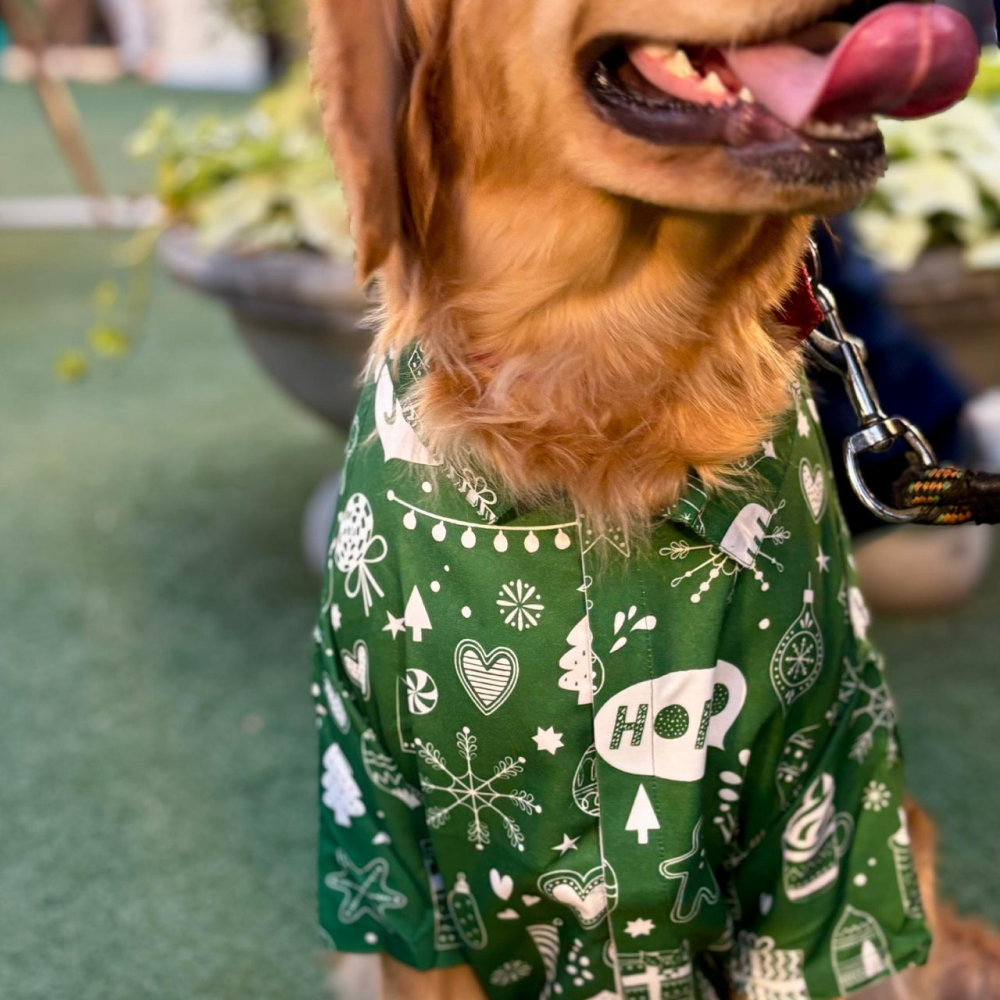 15 Furries Winter Wonderland Shirt for Dogs