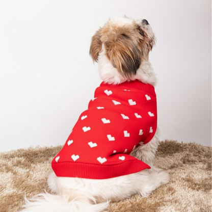15 Furries Red Heart Sweater for Dogs