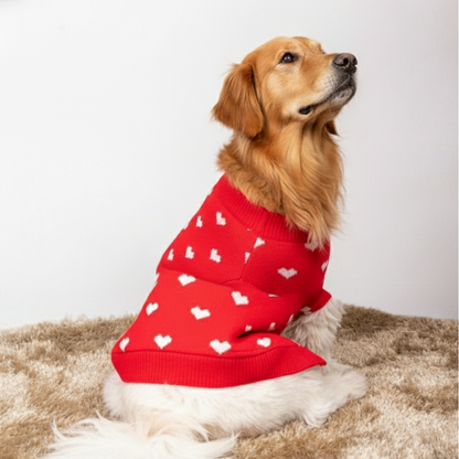 15 Furries Red Heart Sweater for Dogs