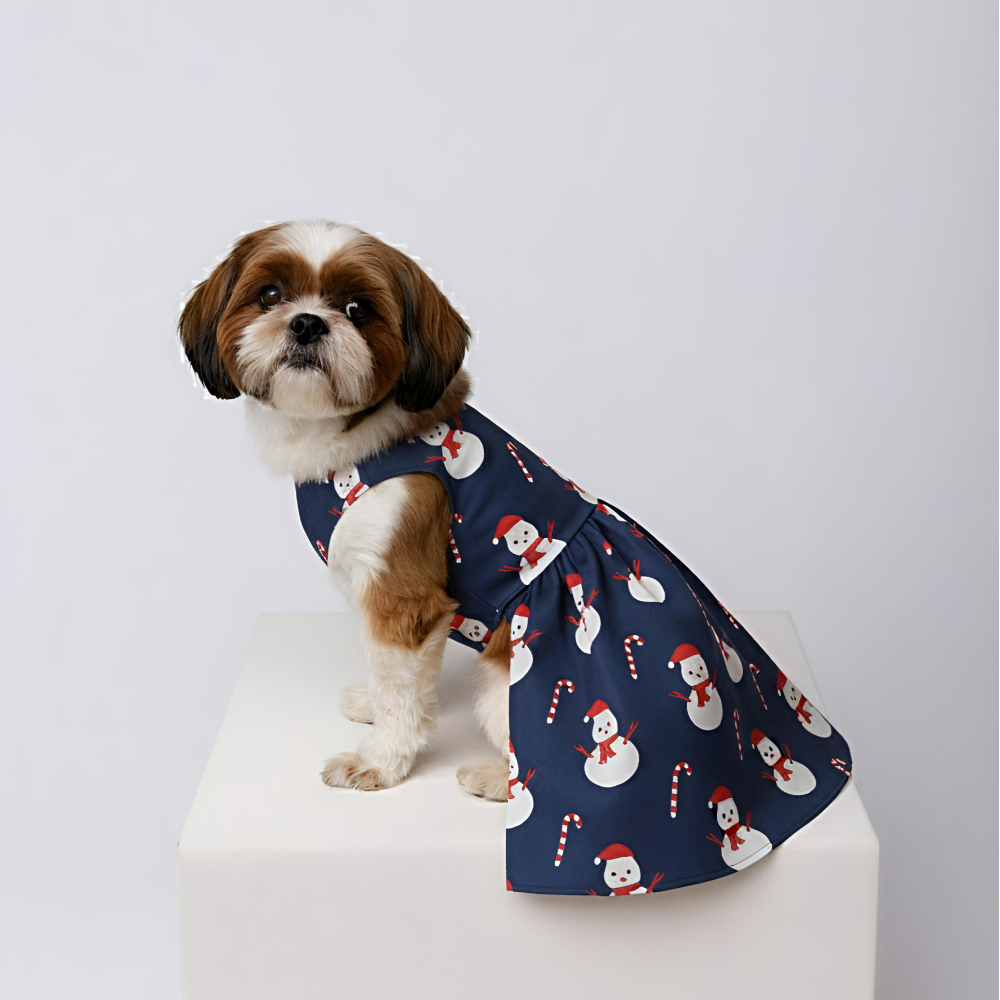 15 Furries Snowman Dress for Dogs (Dark Blue)