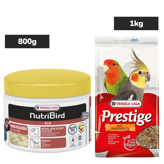 Versele Laga Nutribird A19 Supplement and Prestige Food For Big Parakeets and Birds Combo