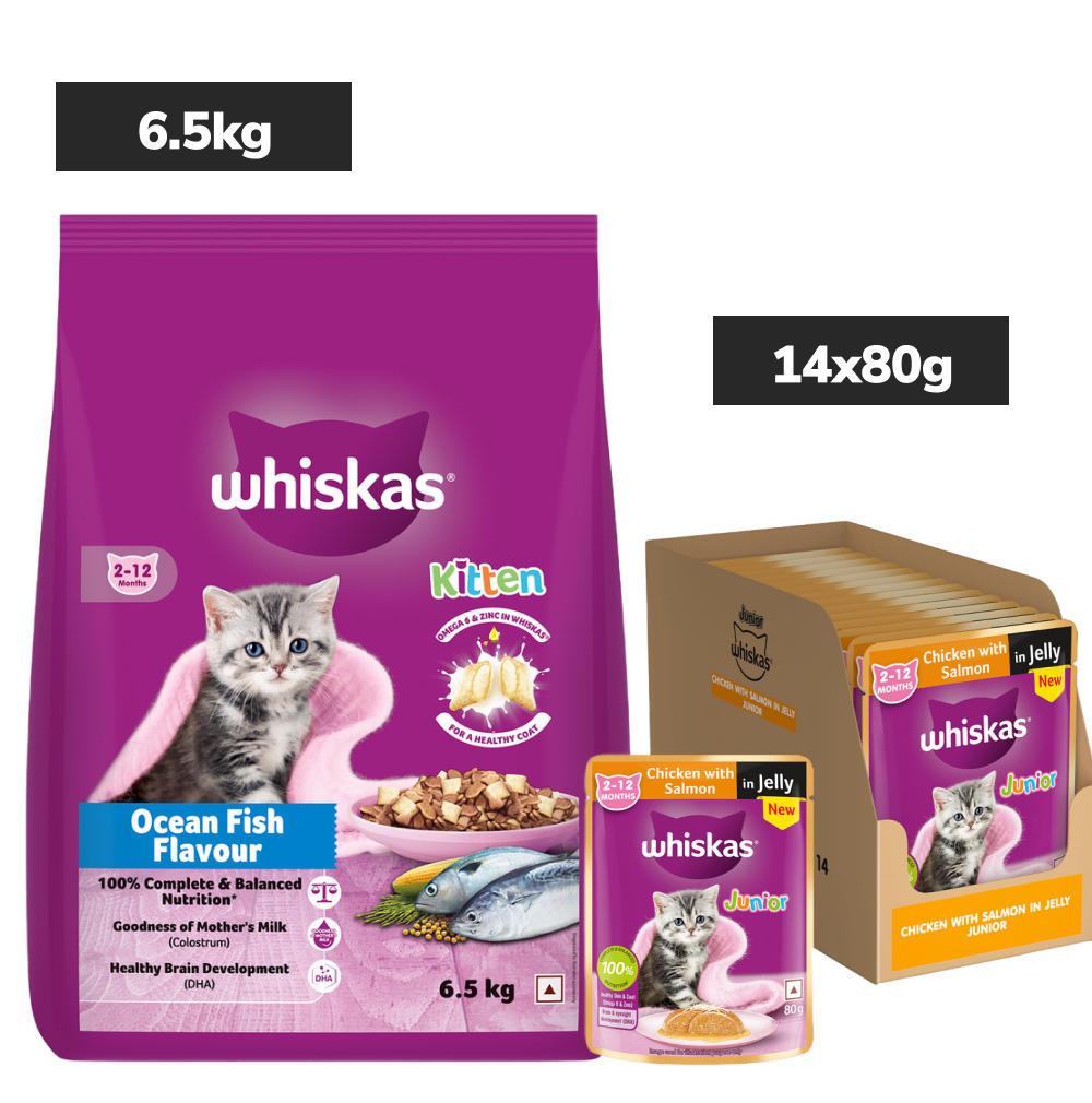 Whiskas Kitten Cat Food Combo |Ocean Fish Dry & Chicken with Salmon in Jelly in Gravy Wet
