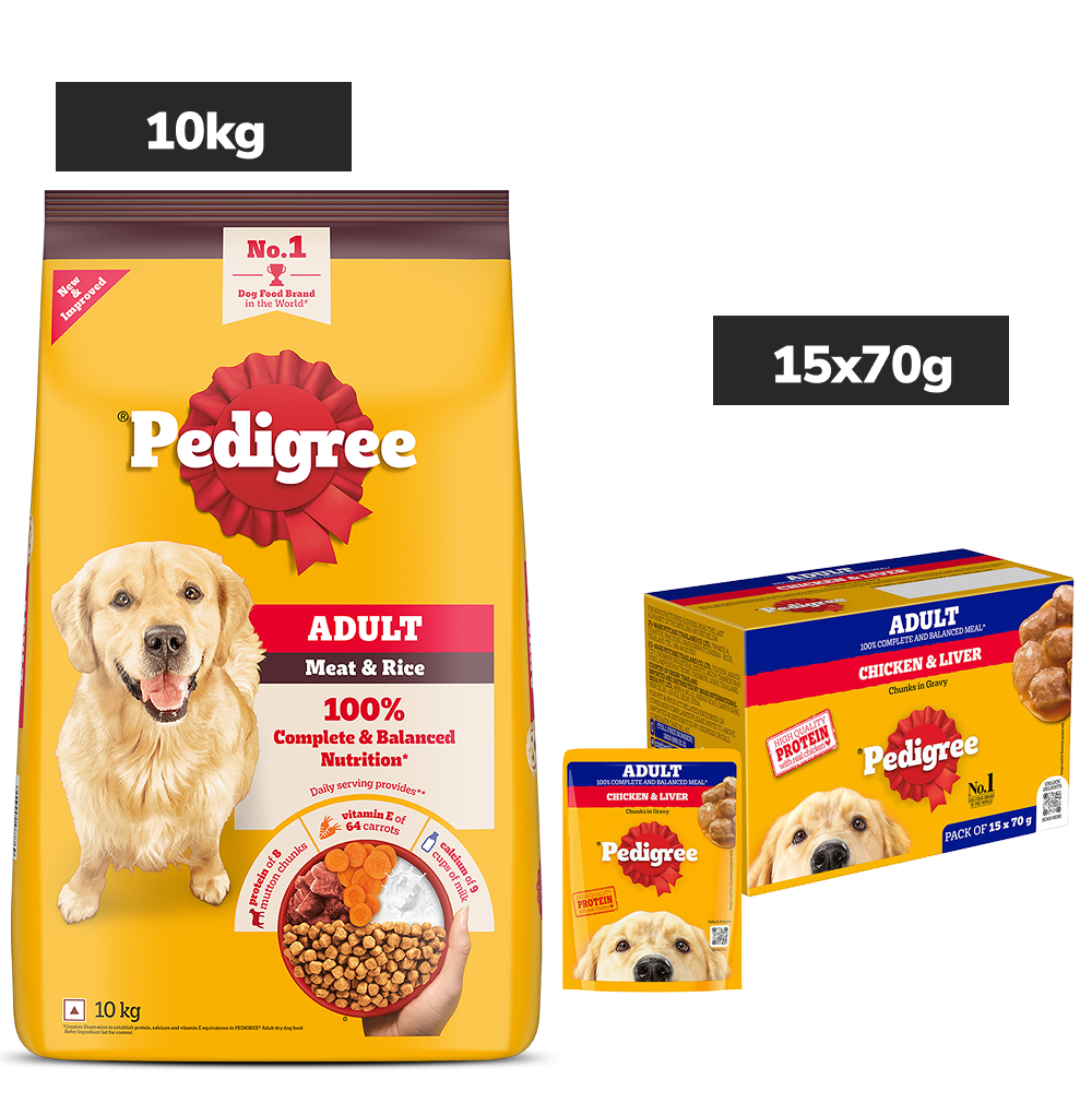 Pedigree Adult Dog Food Combo |Meat & Rice Dry & Chicken & Liver Wet