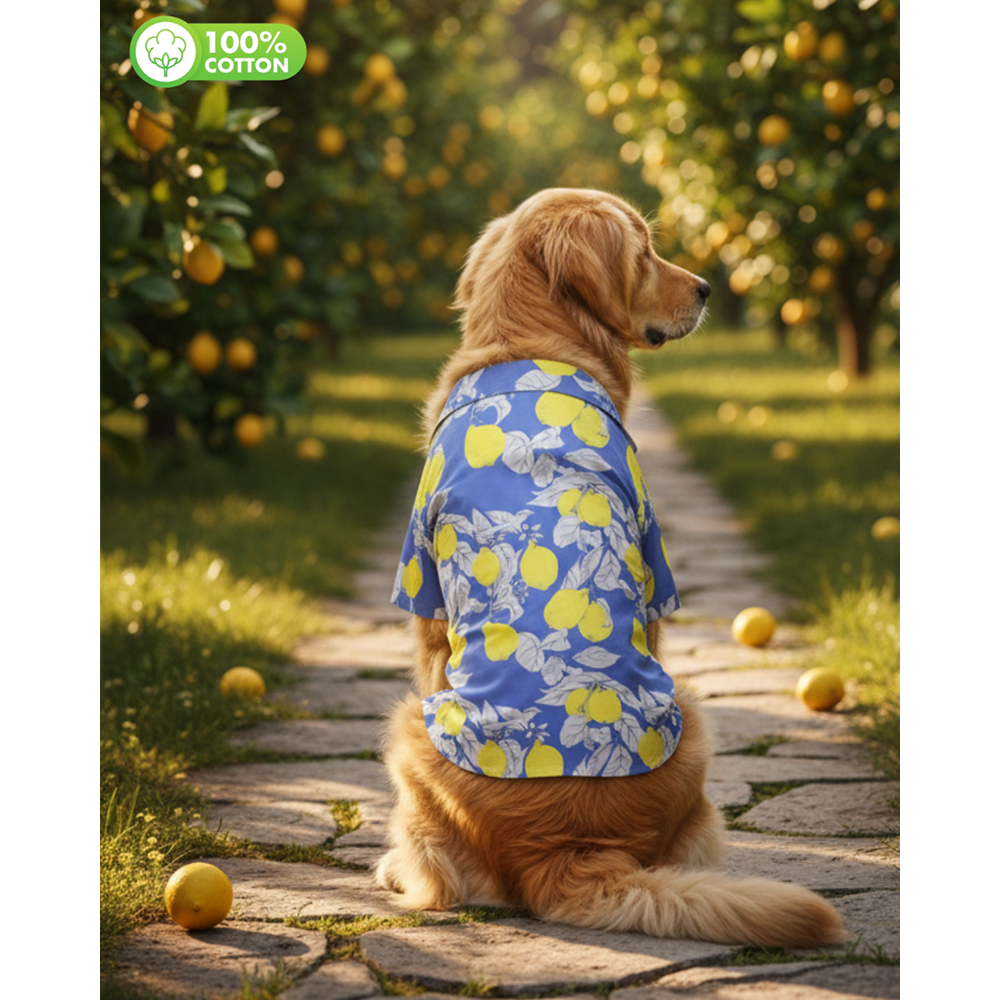15 Furries Lemon Printed Cotton Shirts for Dogs (Royal Blue)