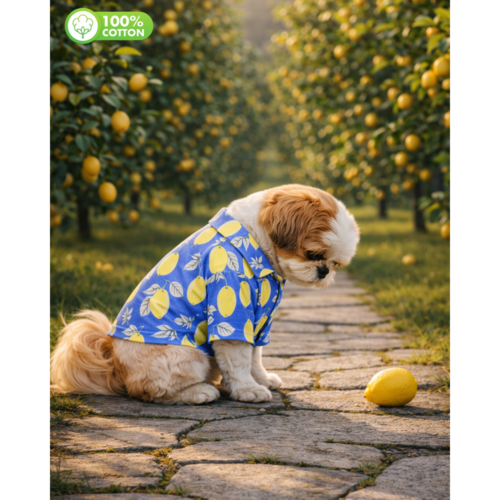 15 Furries Lemon Printed Cotton Shirts for Dogs (Royal Blue)