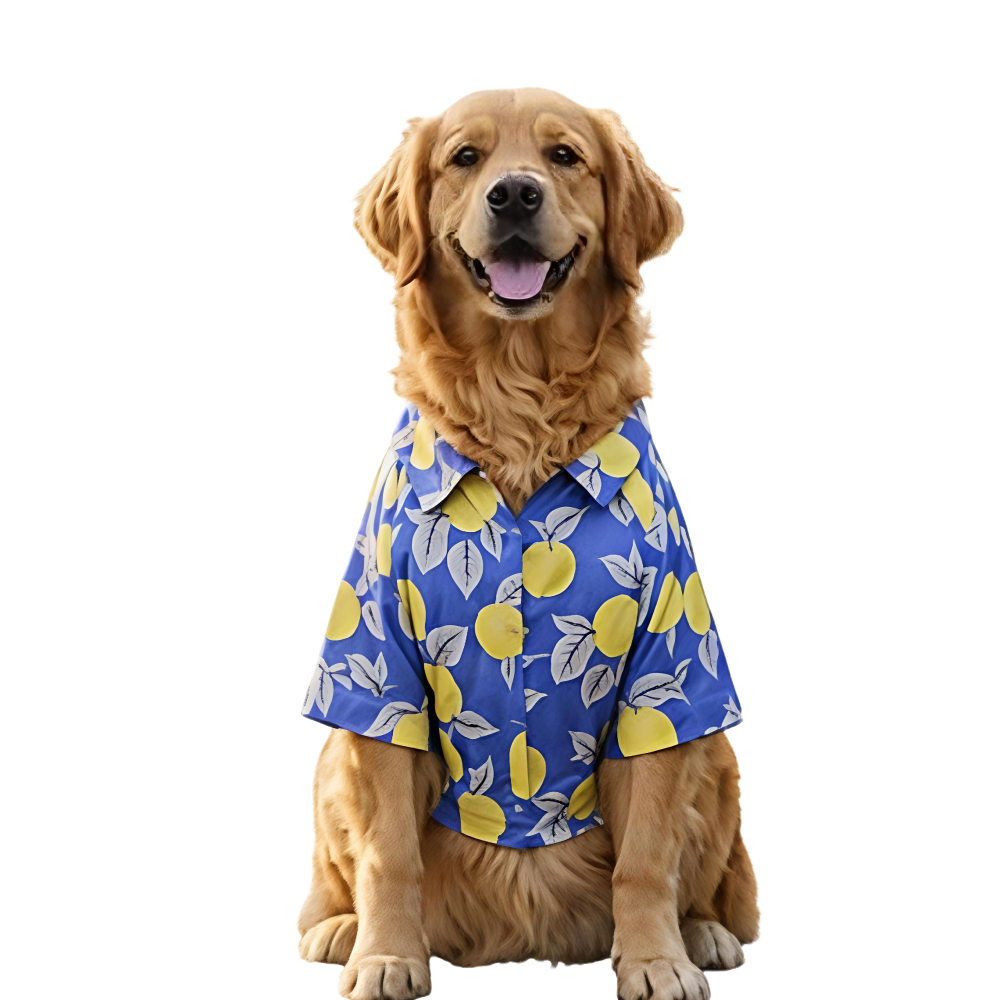 15 Furries Lemon Printed Cotton Shirts for Dogs (Royal Blue)