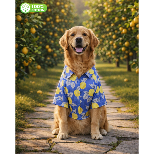 15 Furries Lemon Printed Cotton Shirts for Dogs (Royal Blue)