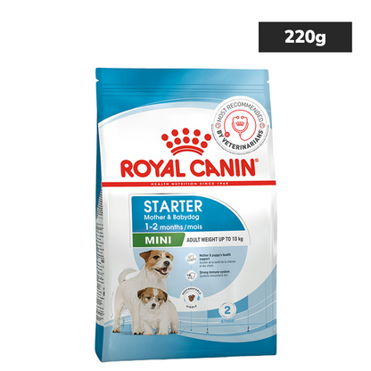 Royal Canin Mini Starter, Mother & Babydog Dry Food