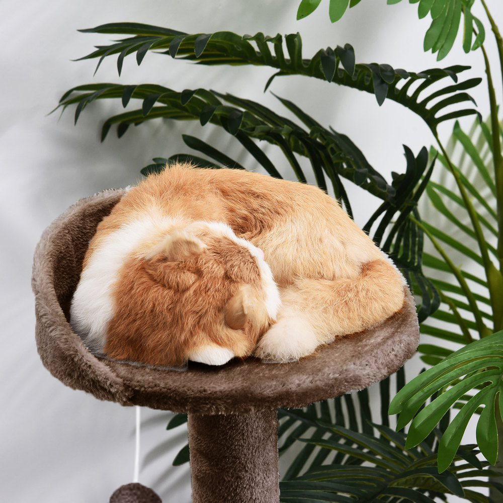 Furrlovers 3 Tier Stairs with Scratching Posts Cat Tree with Plush Bed