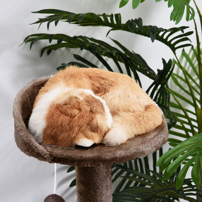 Furrlovers 3 Tier Stairs with Scratching Posts Cat Tree with Plush Bed