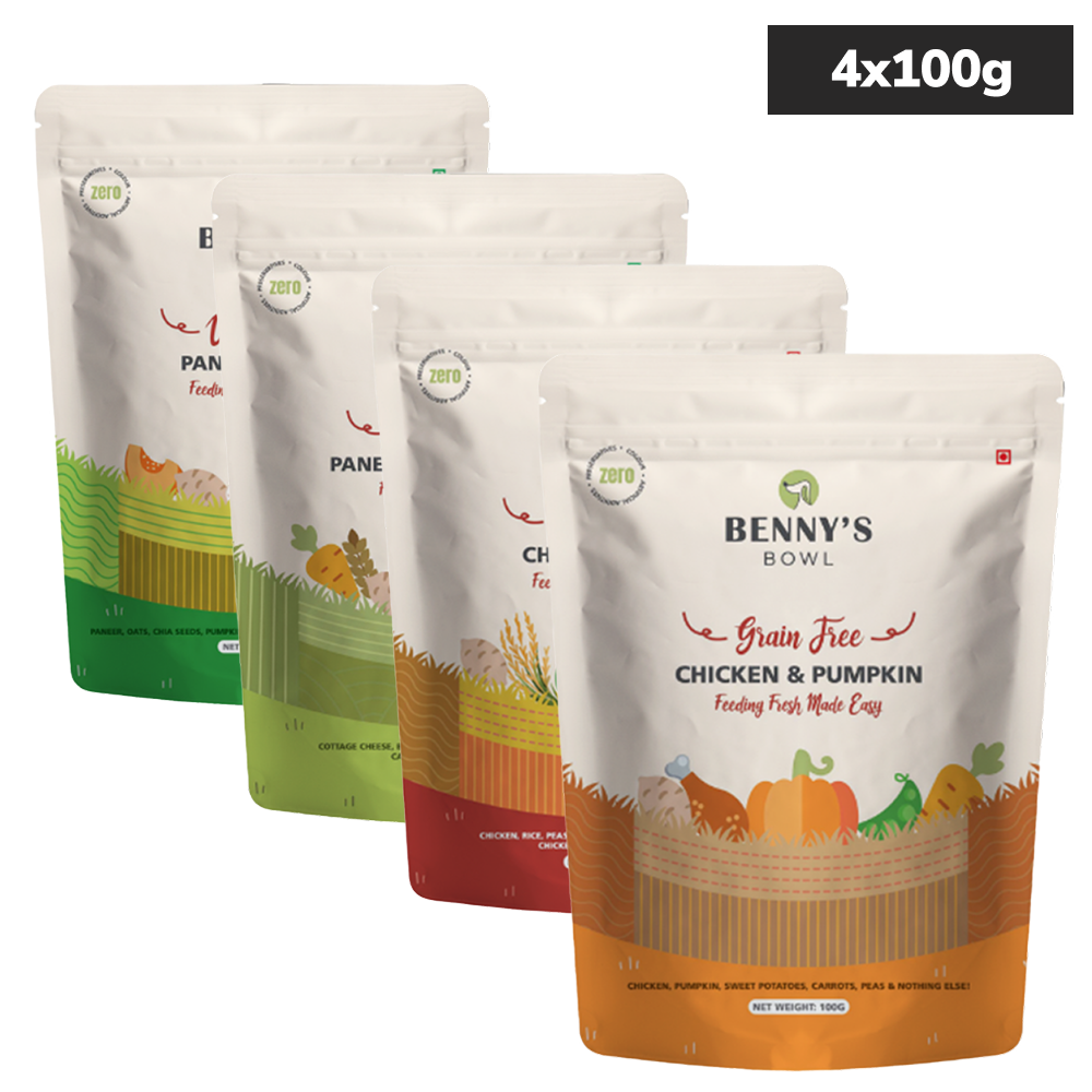 Bennys Bowl Variety Pack Dog Fresh and Wet Food