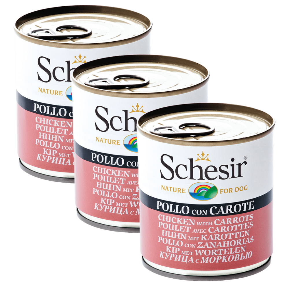 Schesir Chicken & Rice with Carrot in Jelly Dog Wet Food