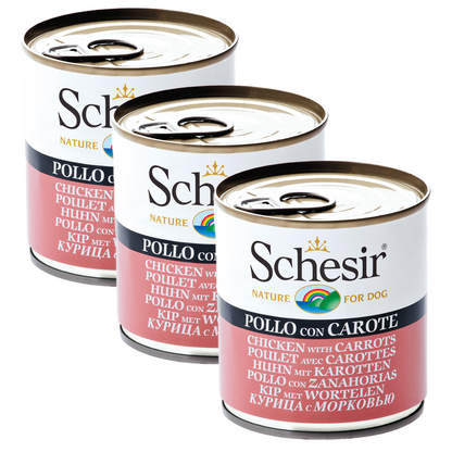 Schesir Chicken & Rice with Carrot in Jelly Dog Wet Food