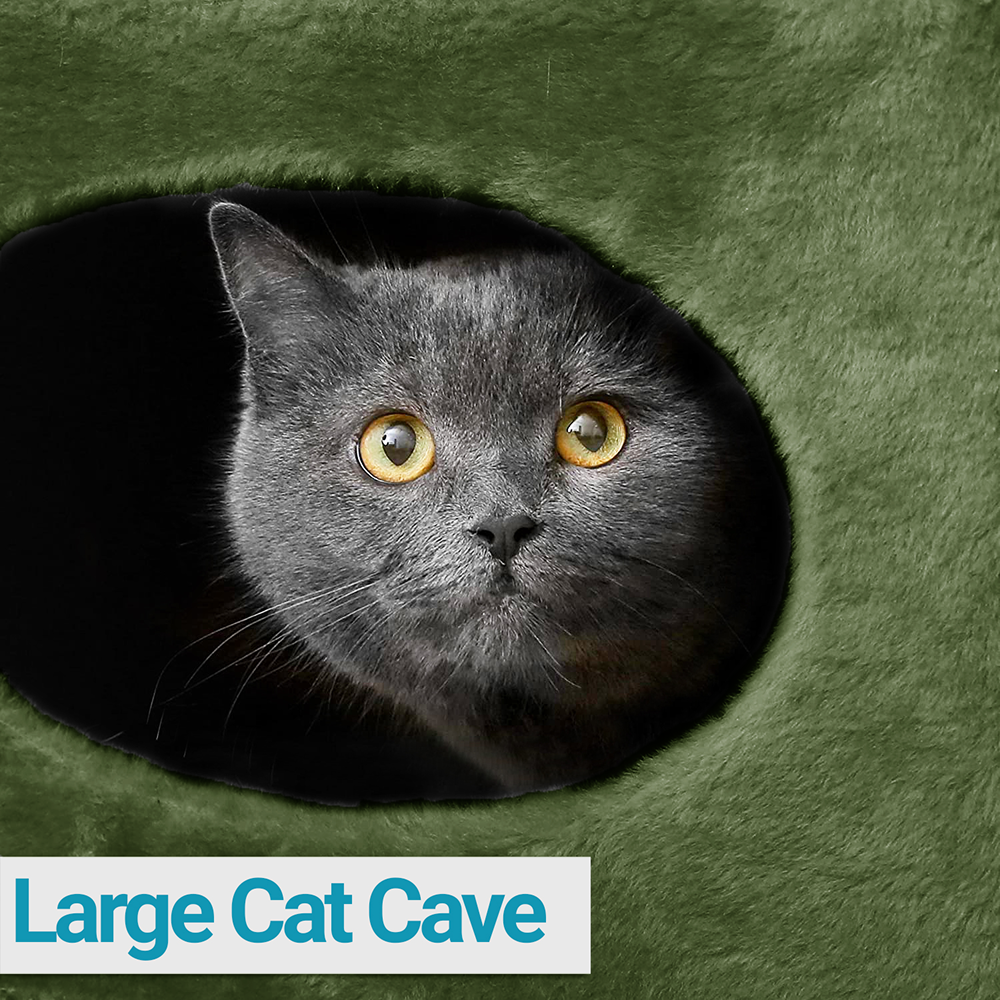 Furrlovers House with Plush Cushion for Cats (Green)