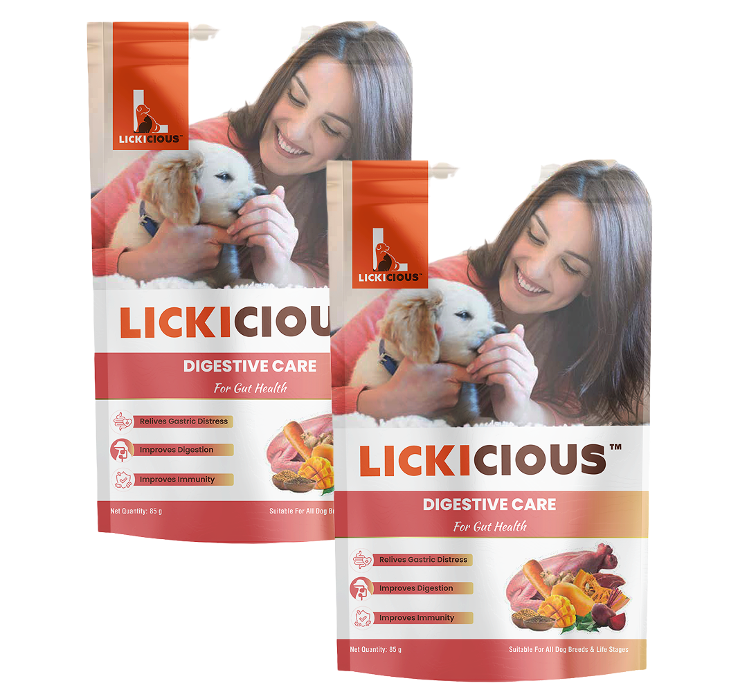 Lickicious Digestive Care Chicken Chewy Stick Dog Treats