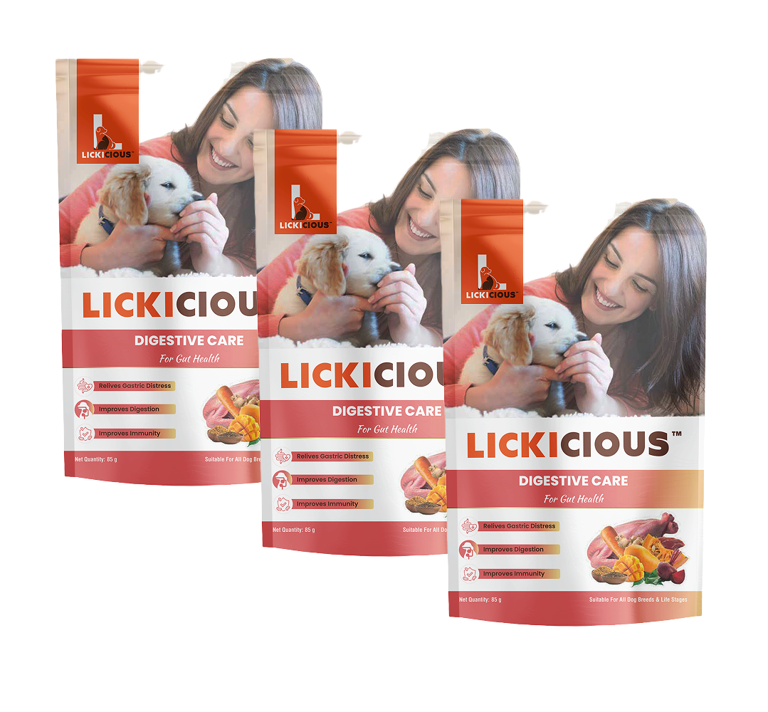Lickicious Digestive Care Chicken Chewy Stick Dog Treats