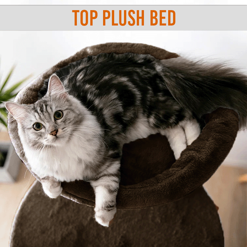 Furrlovers Multi Level Cat Tree Tower with Scratching Posts, Hammock & Condo (Brown)