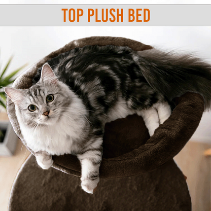Furrlovers Multi Level Cat Tree Tower with Scratching Posts, Hammock & Condo (Brown)