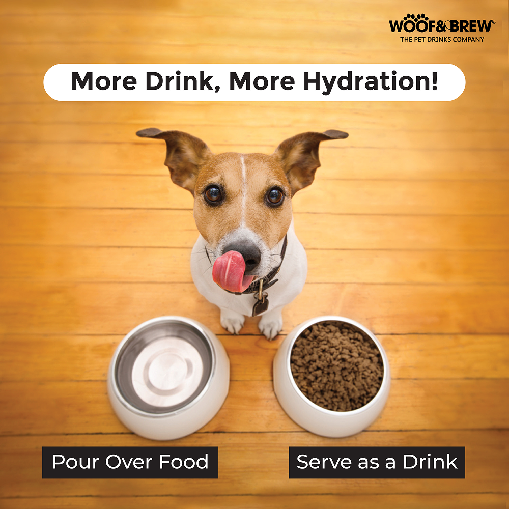 Woof & Brew Bottom Sniffer Non Alcoholic Chicken & Malt Original Beer for Dogs