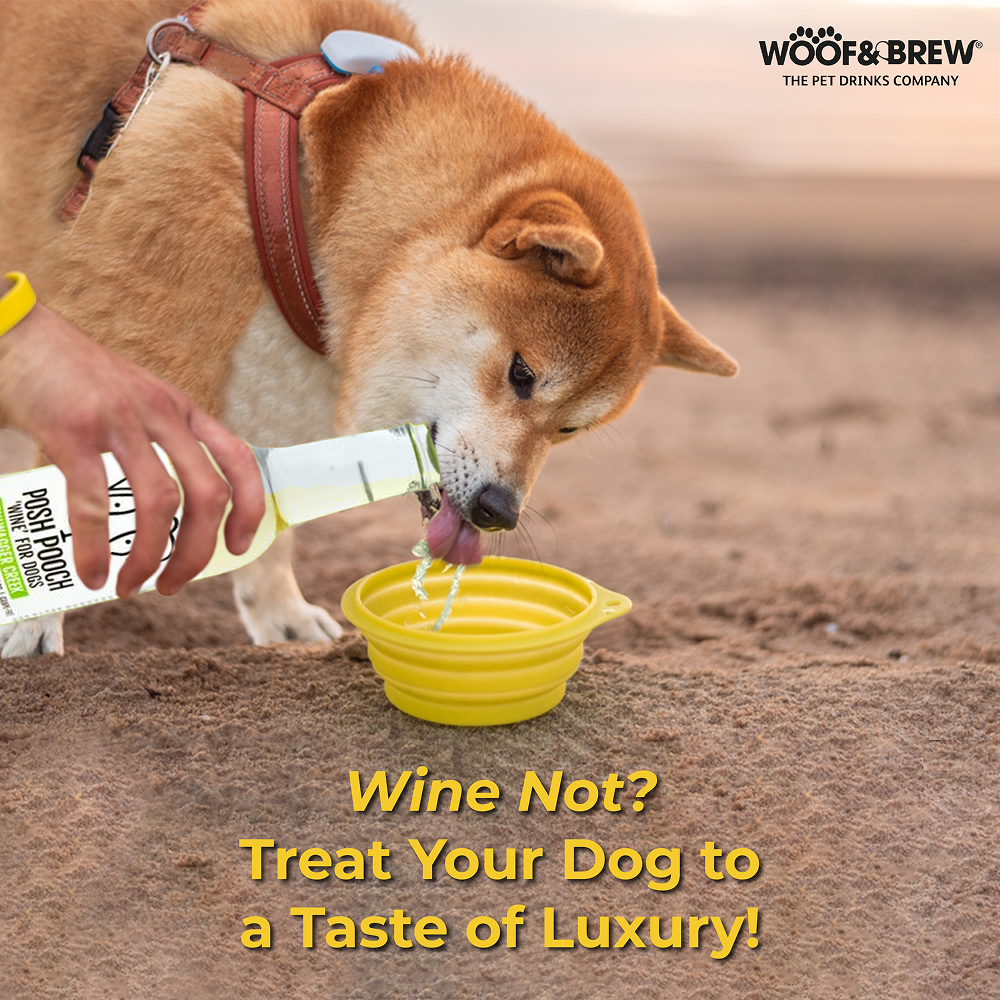 Woof & Brew Posh Pooch Tailwagger Creek Non Alcoholic White Wine for Dogs