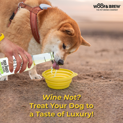 Woof & Brew Posh Pooch Tailwagger Creek Non Alcoholic White Wine for Dogs