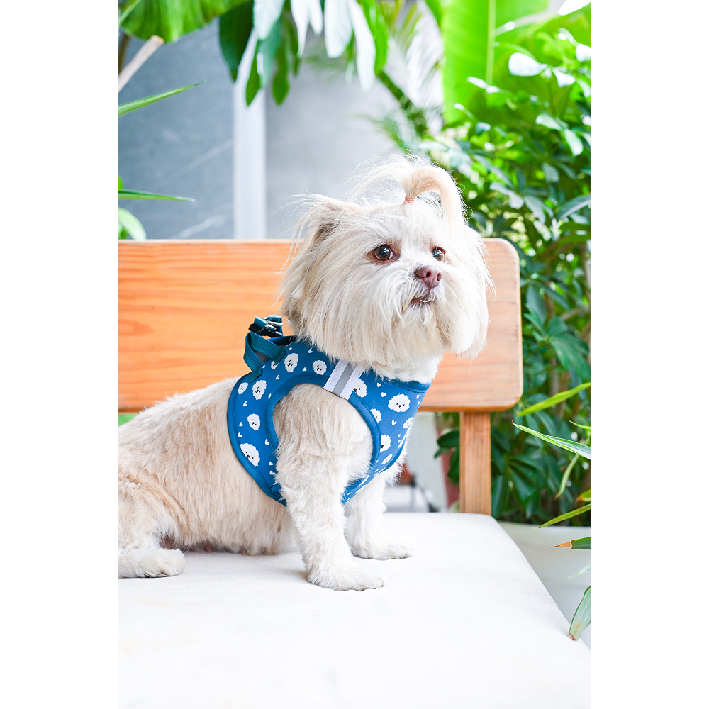 Pets Way Floof Air Mesh Printed Harness for Puppies and Small Dogs