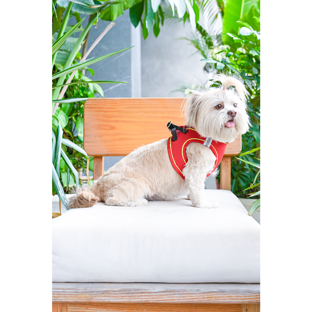 Pets Way Air Mesh Harness for Puppies & Small Dogs (Red)