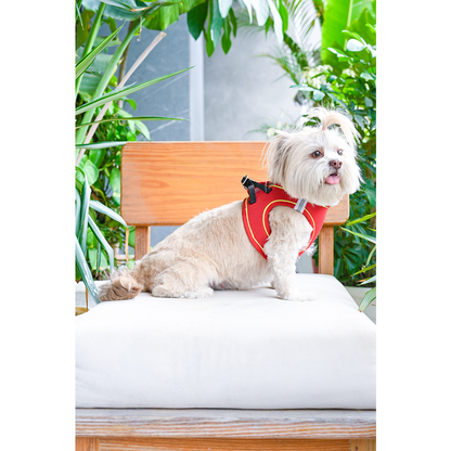 Pets Way Air Mesh Harness for Puppies & Small Dogs (Red)