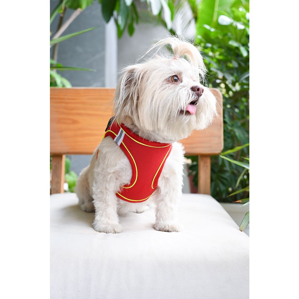 Pets Way Air Mesh Harness for Puppies & Small Dogs (Red)