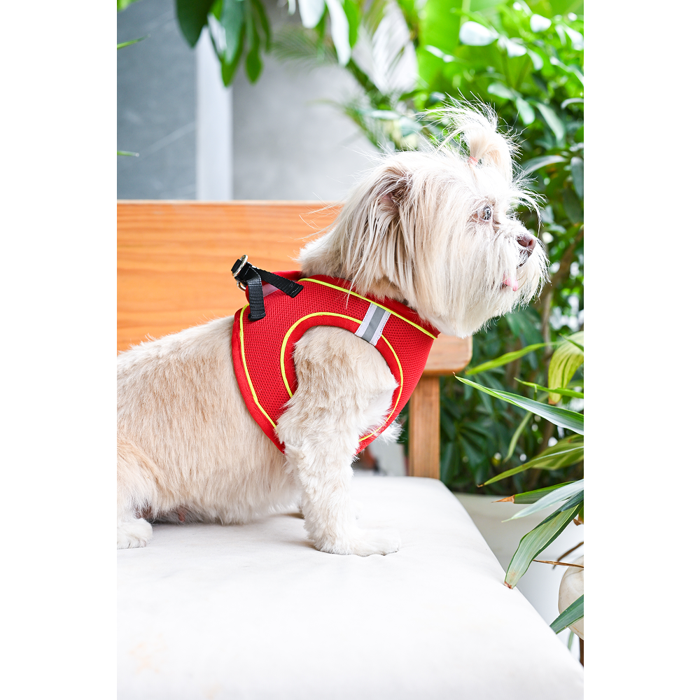 Pets Way Air Mesh Harness for Puppies & Small Dogs (Red)