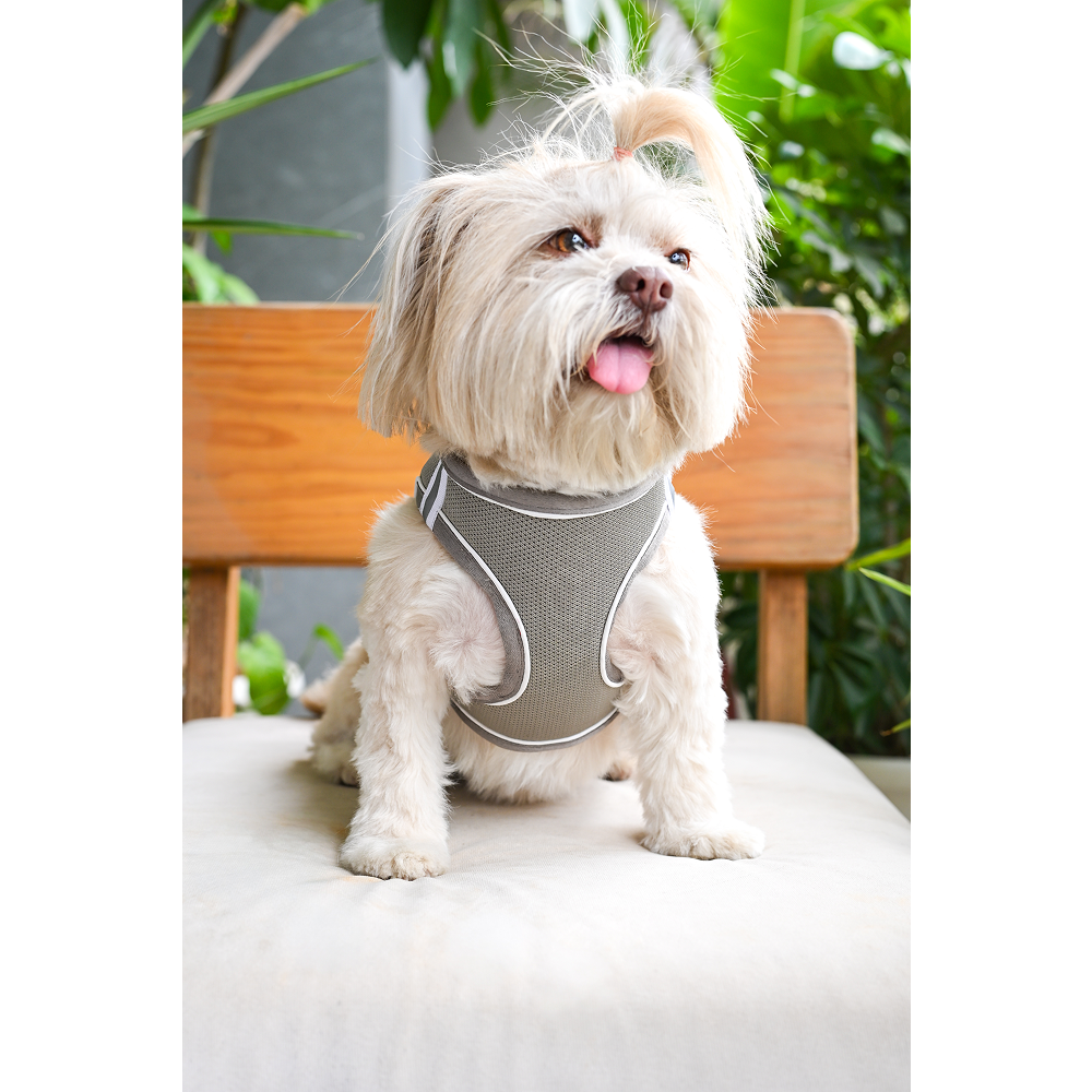 Pets Way Air Mesh Harness for Puppies & Small Dogs (Grey)