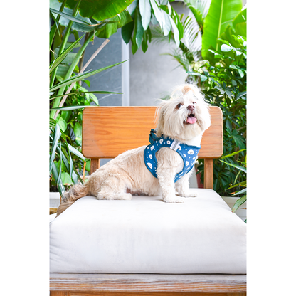 Pets Way Floof Air Mesh Printed Harness for Puppies and Small Dogs