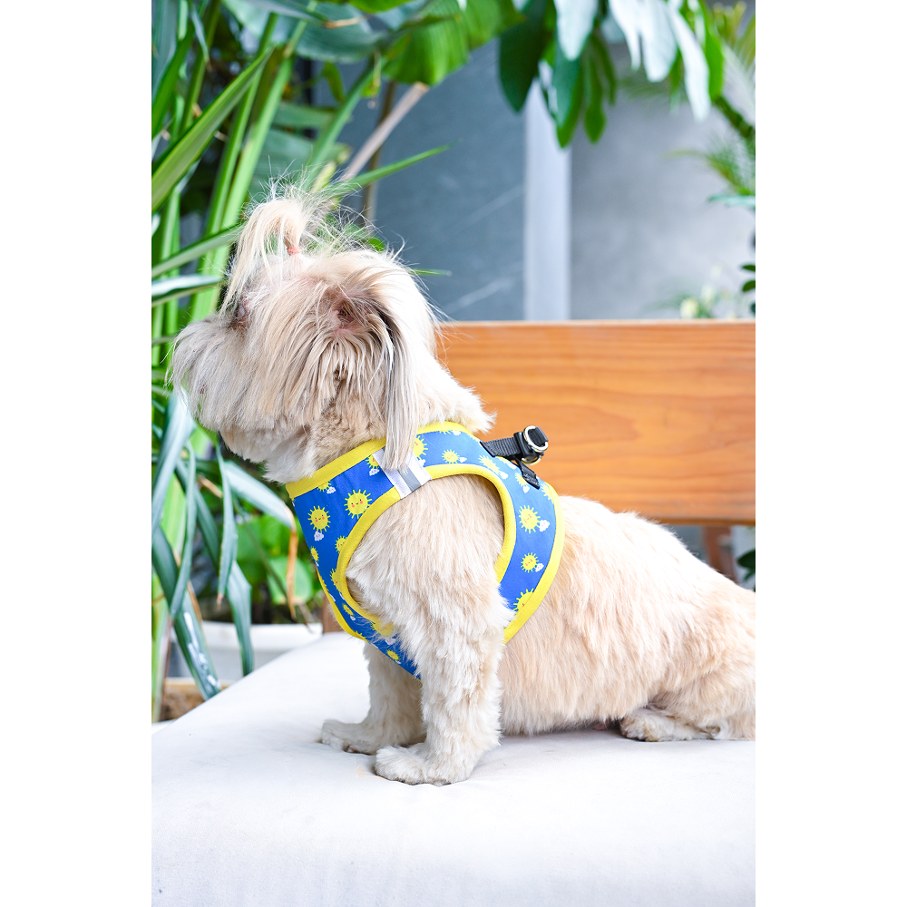 Pets Way Sunny Air Mesh Printed Harness for Puppies and Small Dogs