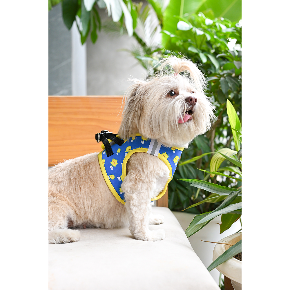 Pets Way Sunny Air Mesh Printed Harness for Puppies and Small Dogs