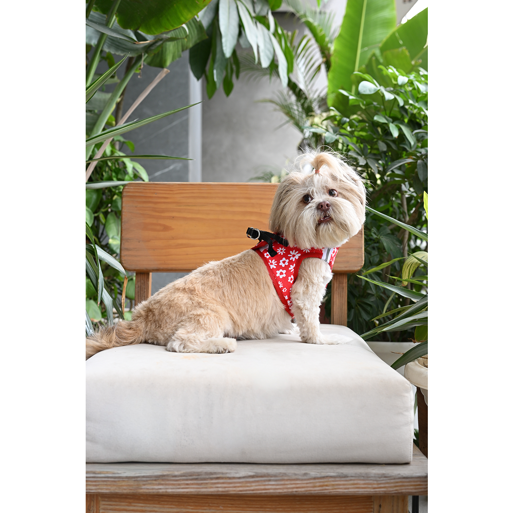 Pets Way Cupid Air Mesh Printed Harness for Puppies and Small Dogs